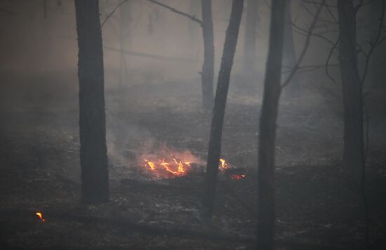 Russia Wildfires