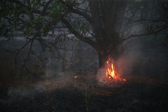 Russia Wildfires