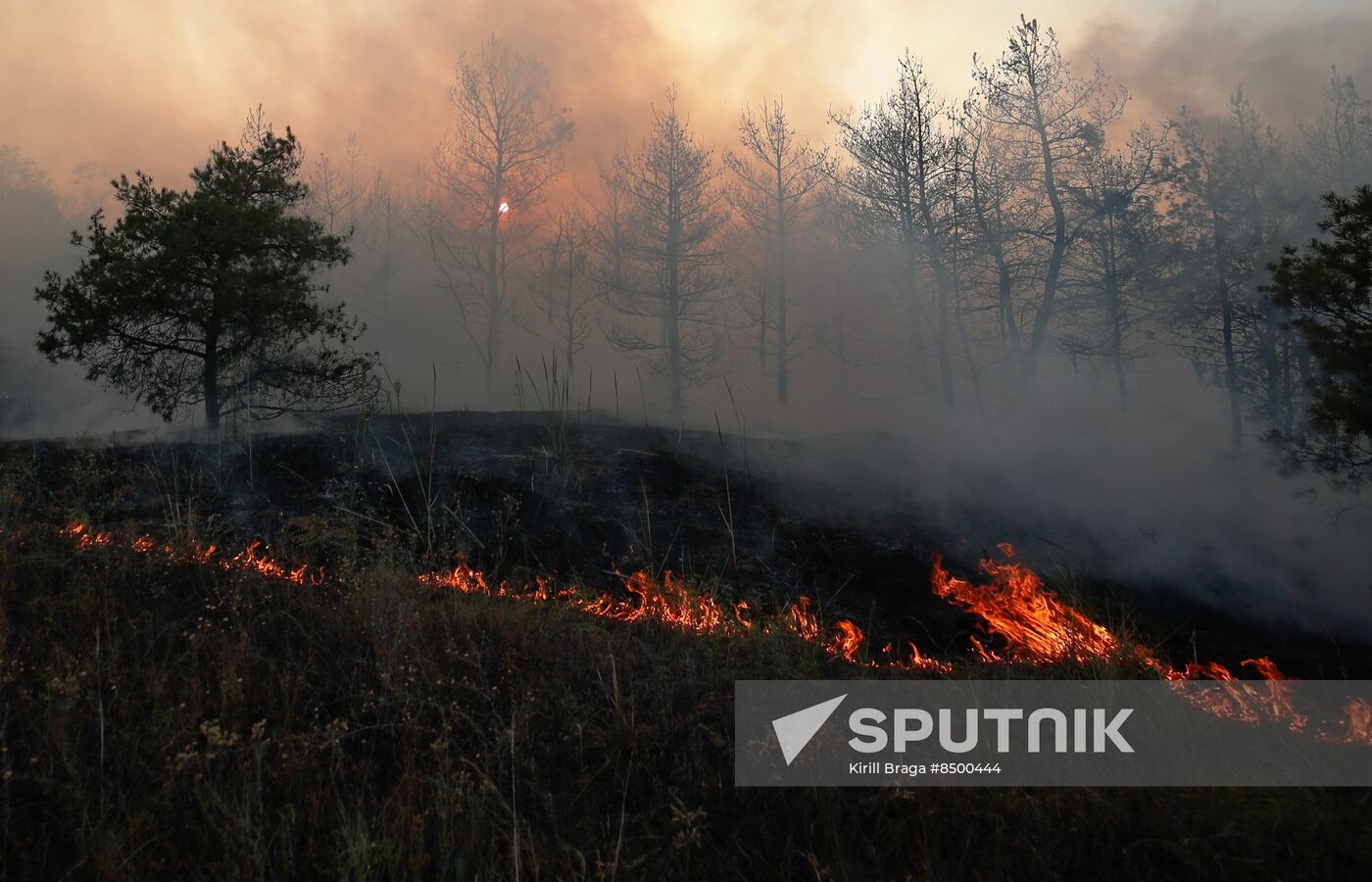 Russia Wildfires