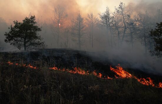 Russia Wildfires