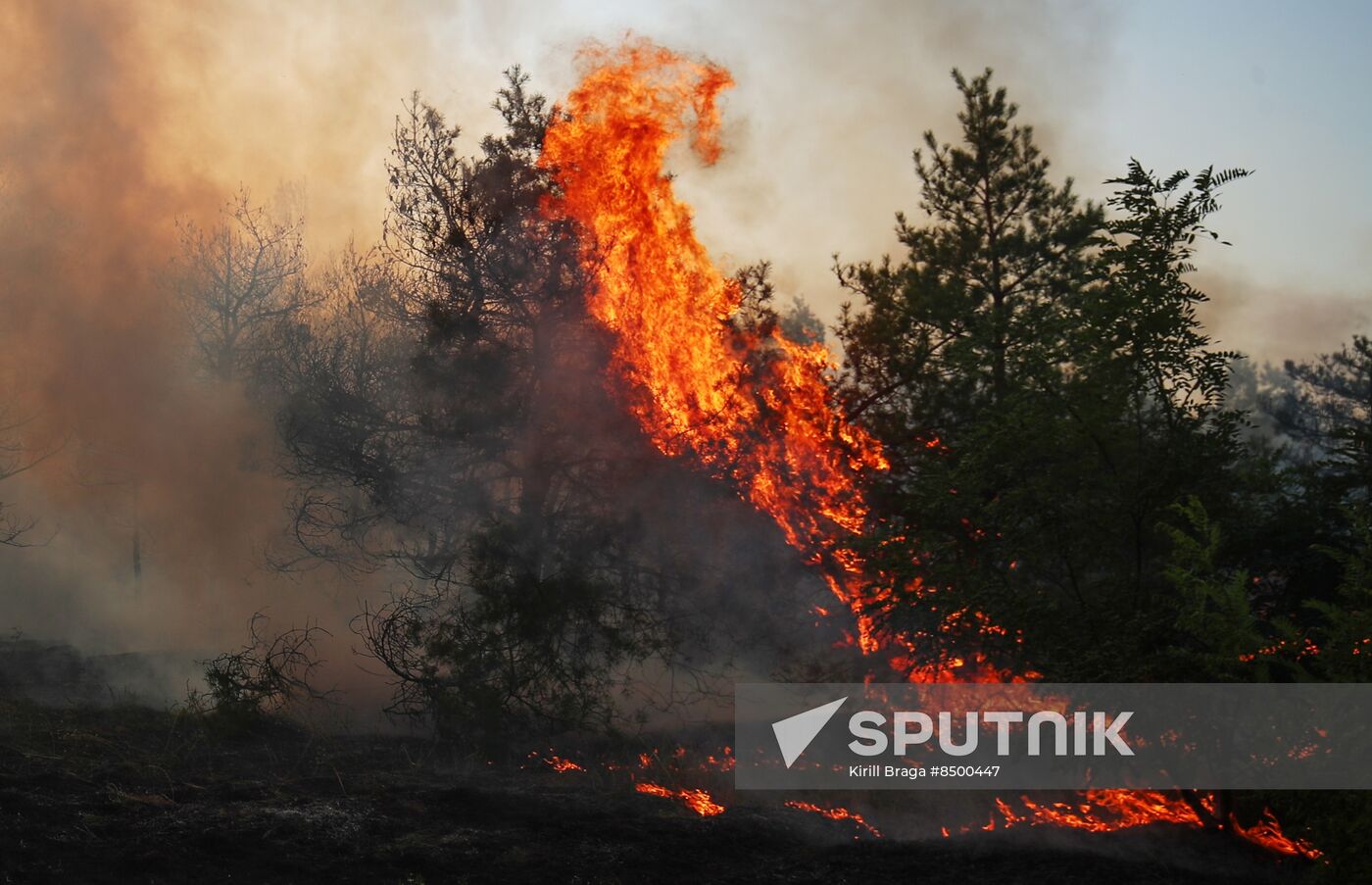 Russia Wildfires