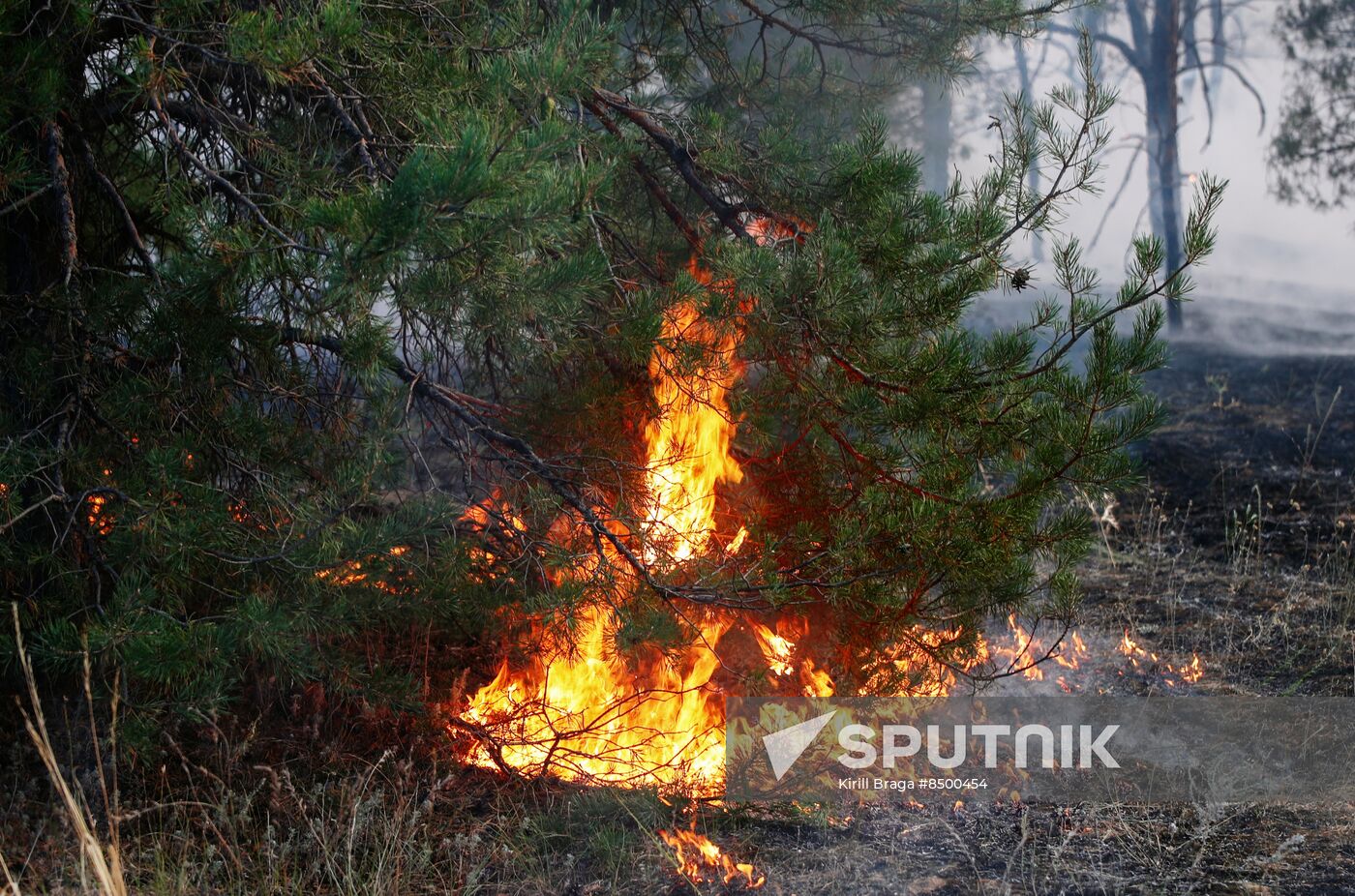 Russia Wildfires