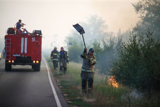 Russia Wildfires