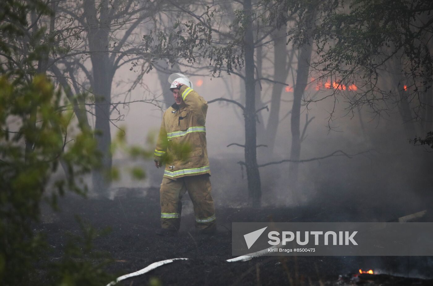 Russia Wildfires