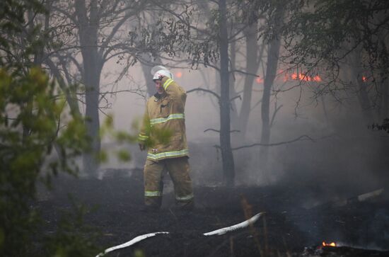 Russia Wildfires