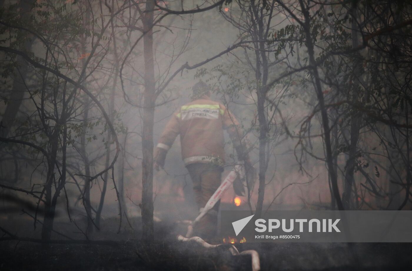 Russia Wildfires