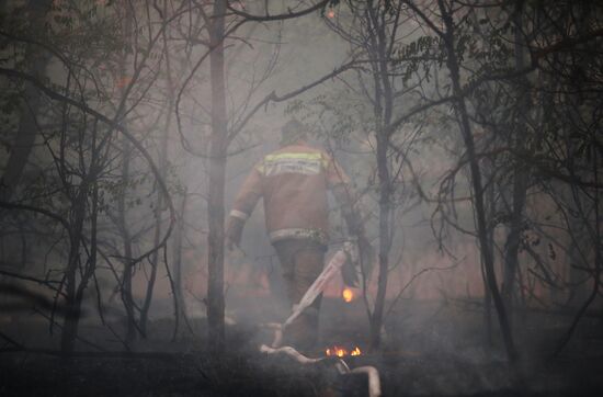 Russia Wildfires