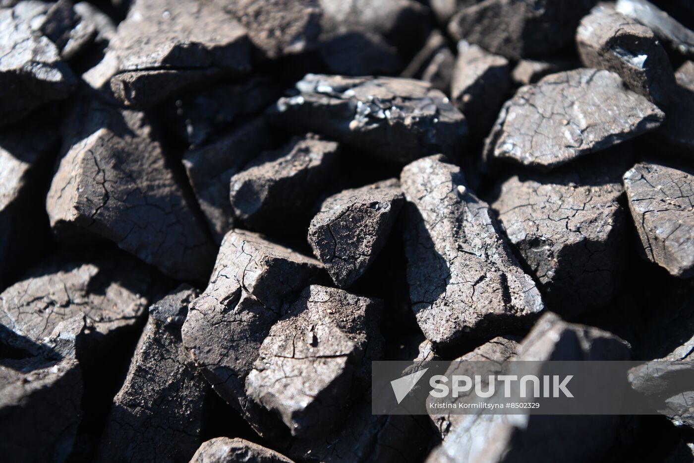 Russia Coal Mining Industry