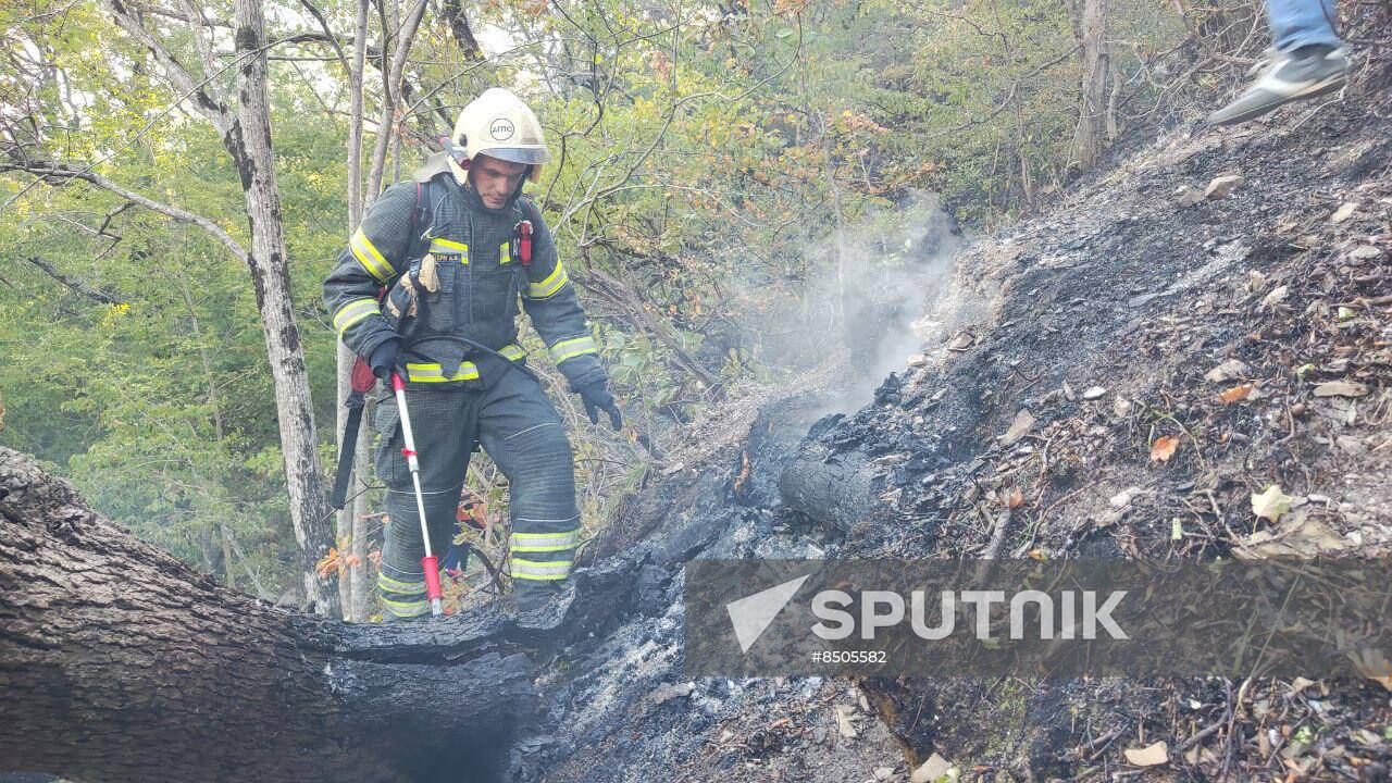 Russia Wildfires