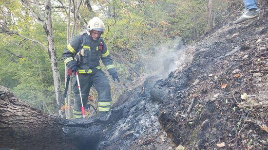 Russia Wildfires