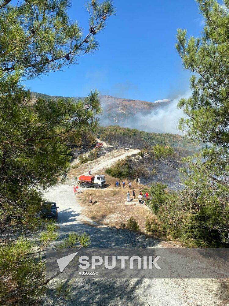 Russia Wildfires