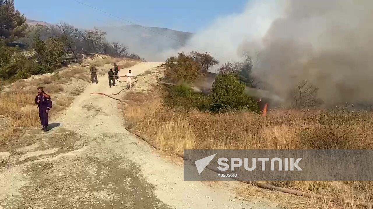 Russia Wildfires