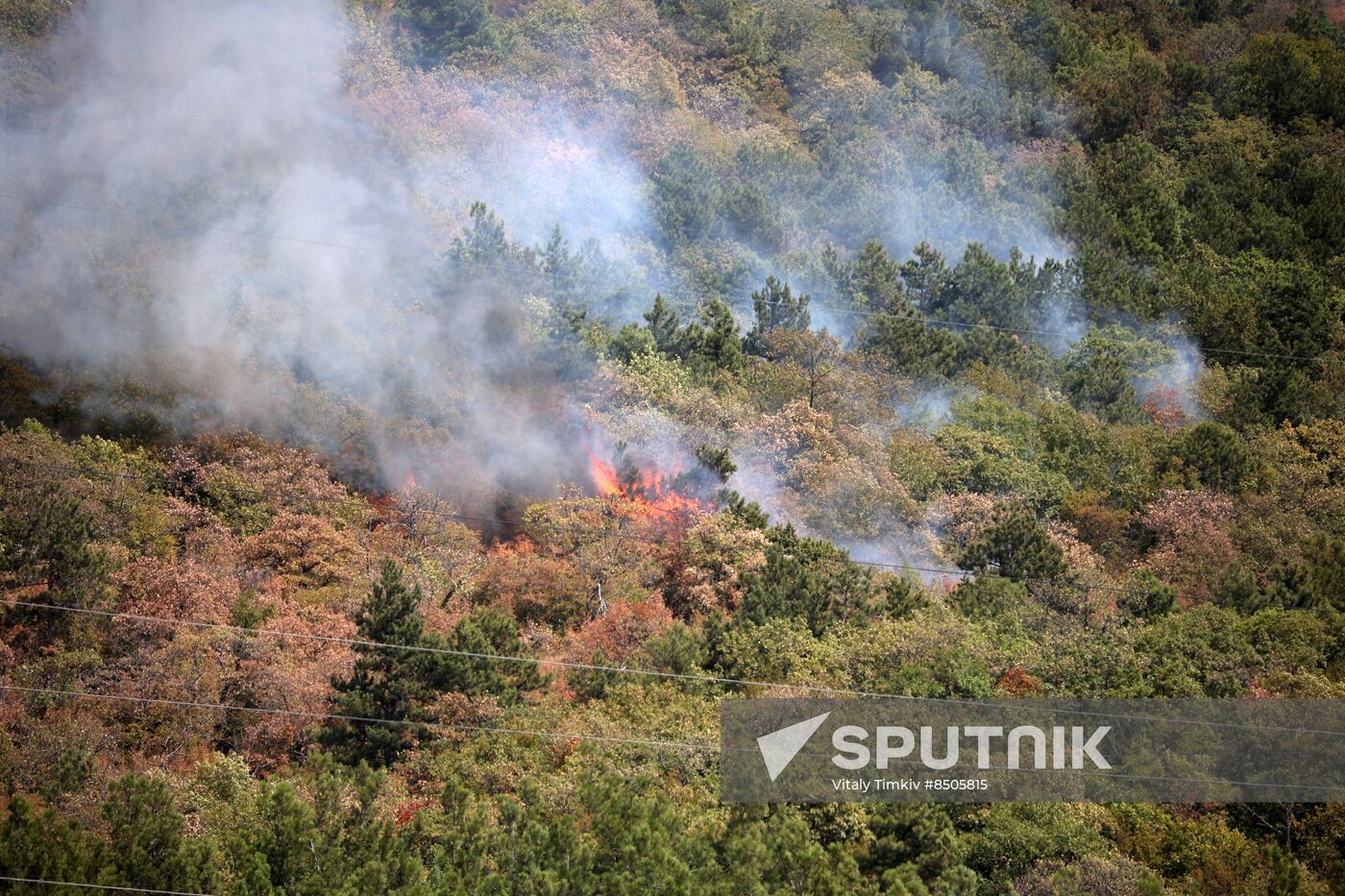 Russia Wildfires