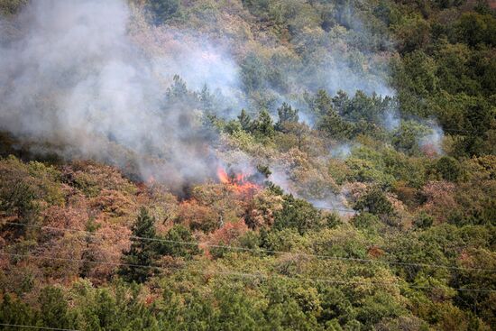 Russia Wildfires