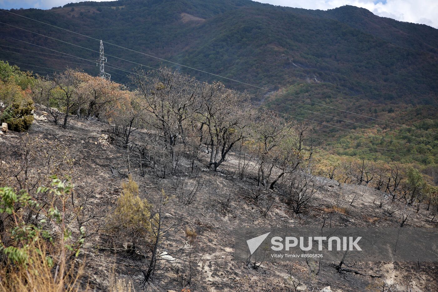 Russia Wildfires