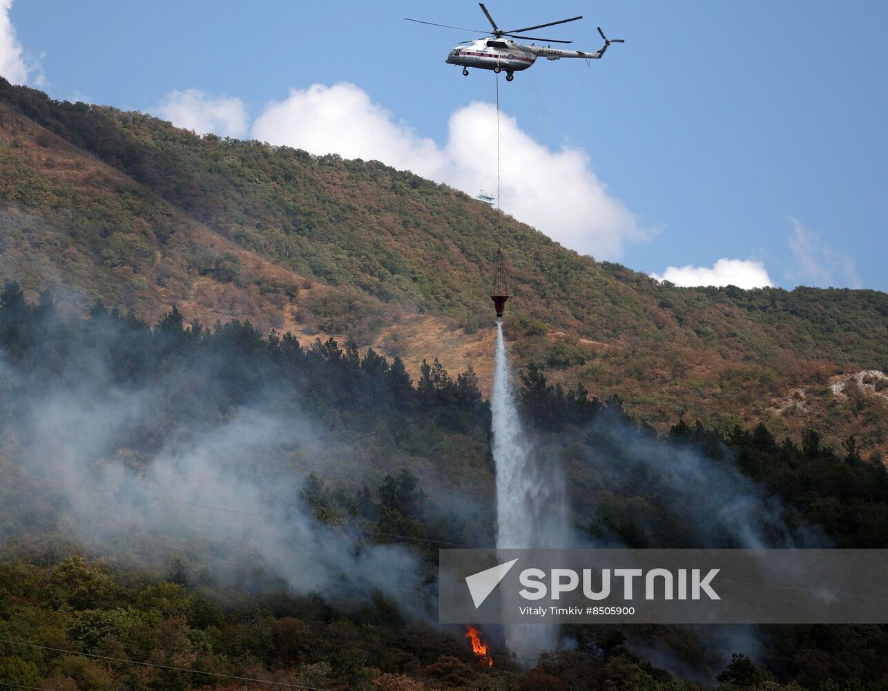 Russia Wildfires