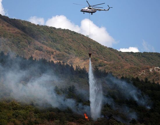 Russia Wildfires