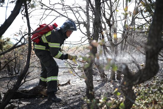 Russia Wildfires