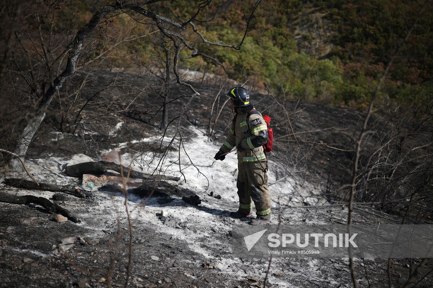 Russia Wildfires