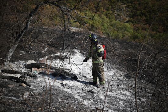 Russia Wildfires