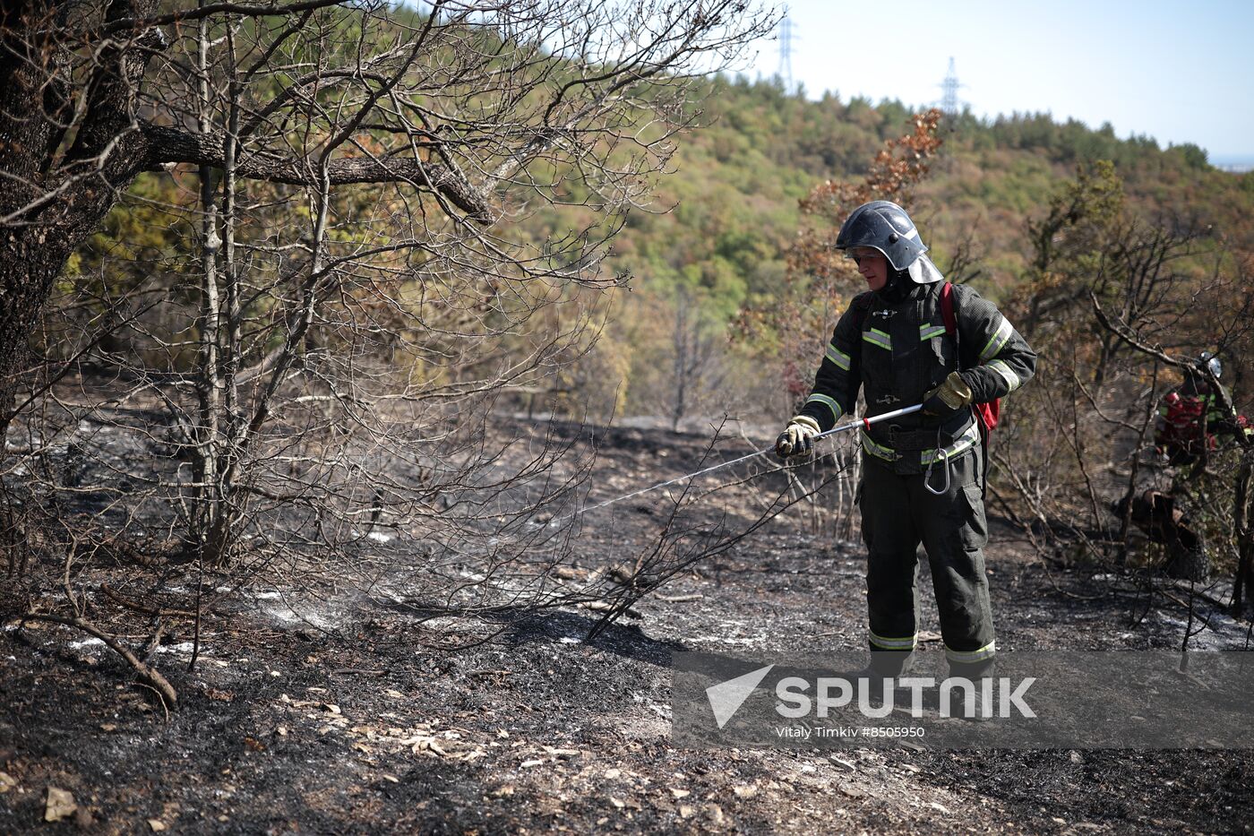 Russia Wildfires