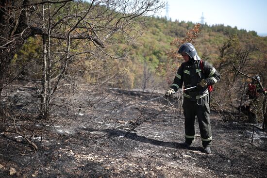 Russia Wildfires