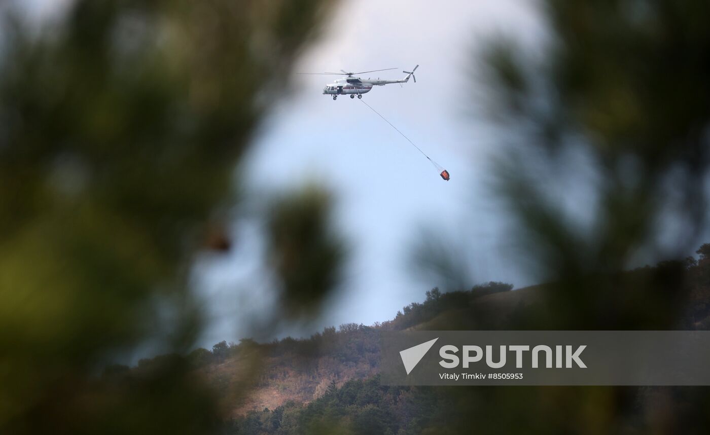 Russia Wildfires