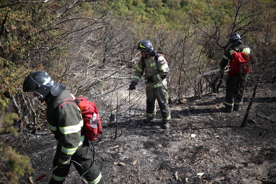 Russia Wildfires