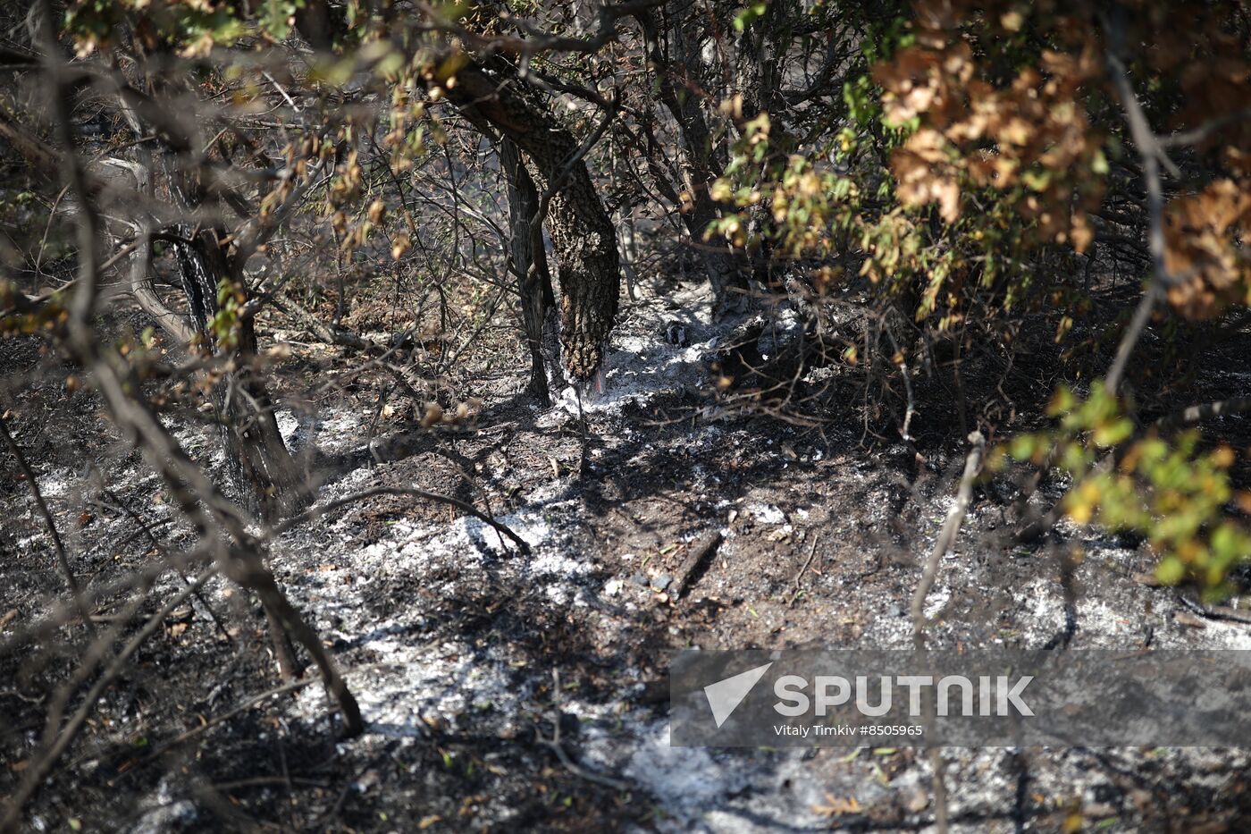 Russia Wildfires