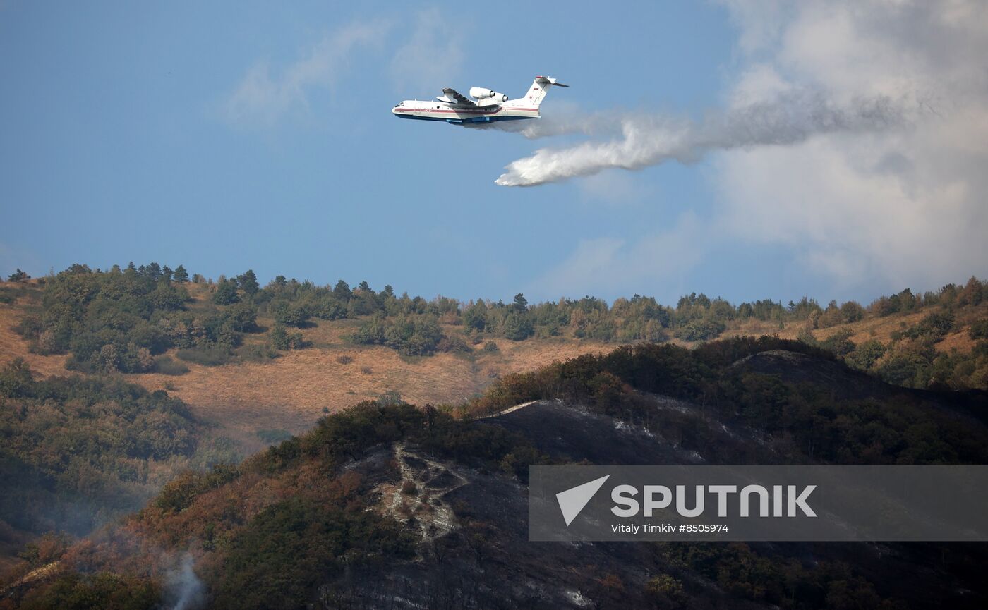 Russia Wildfires