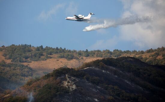 Russia Wildfires