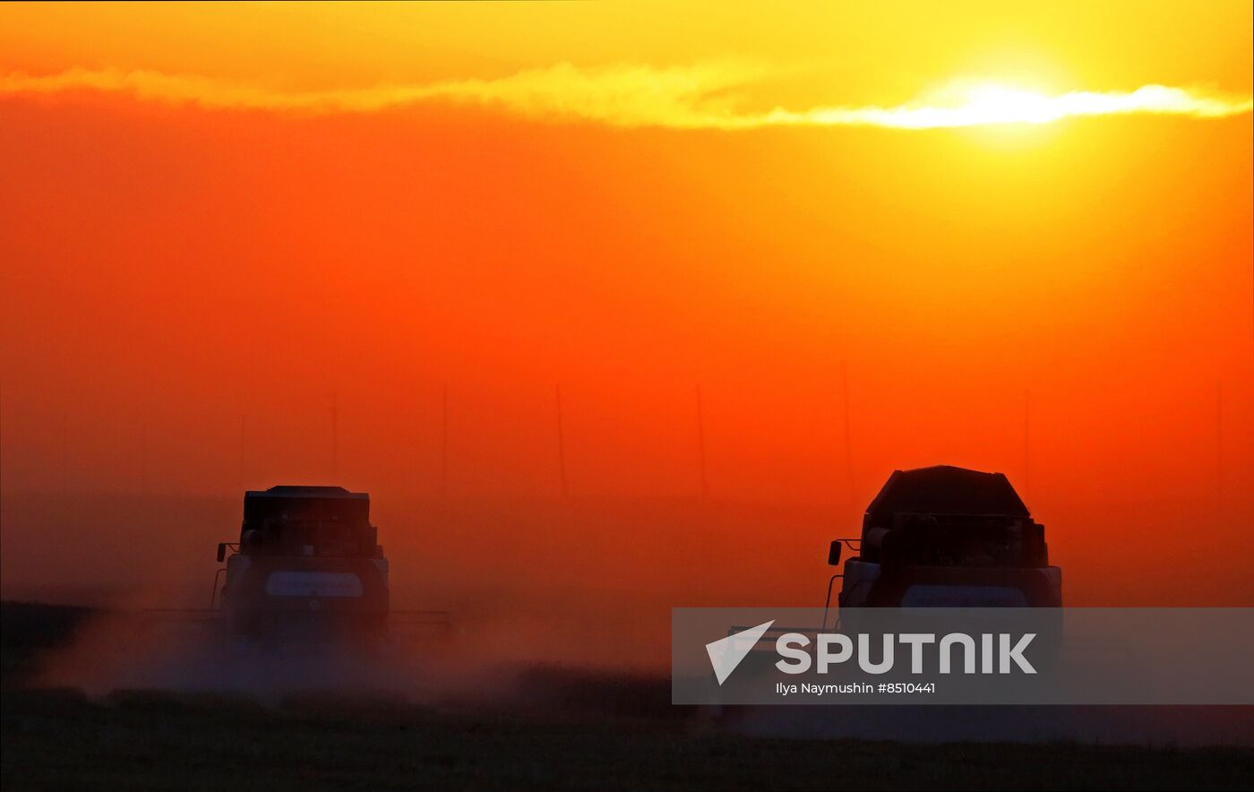 Russia Agriculture Wheat Harvesting