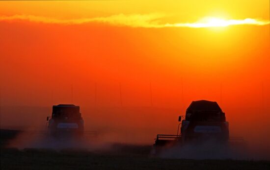 Russia Agriculture Wheat Harvesting