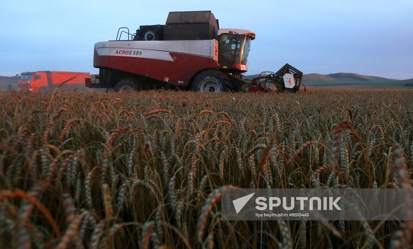 Russia Agriculture Wheat Harvesting