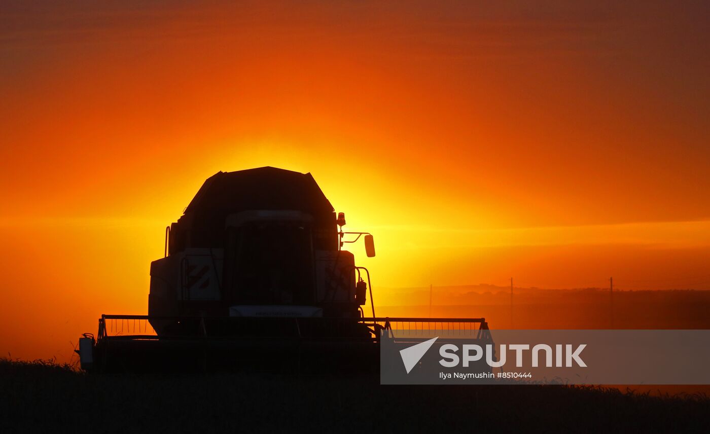 Russia Agriculture Wheat Harvesting