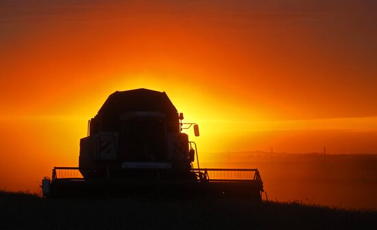 Russia Agriculture Wheat Harvesting