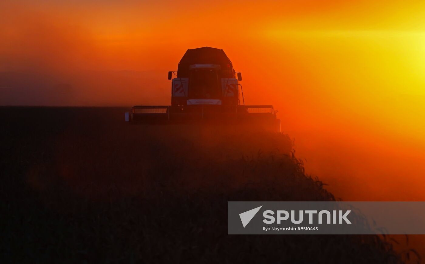 Russia Agriculture Wheat Harvesting