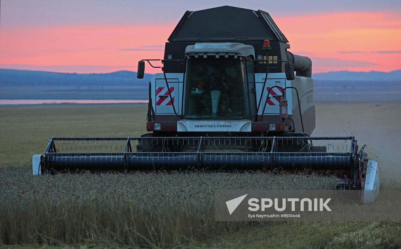 Russia Agriculture Wheat Harvesting