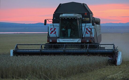 Russia Agriculture Wheat Harvesting