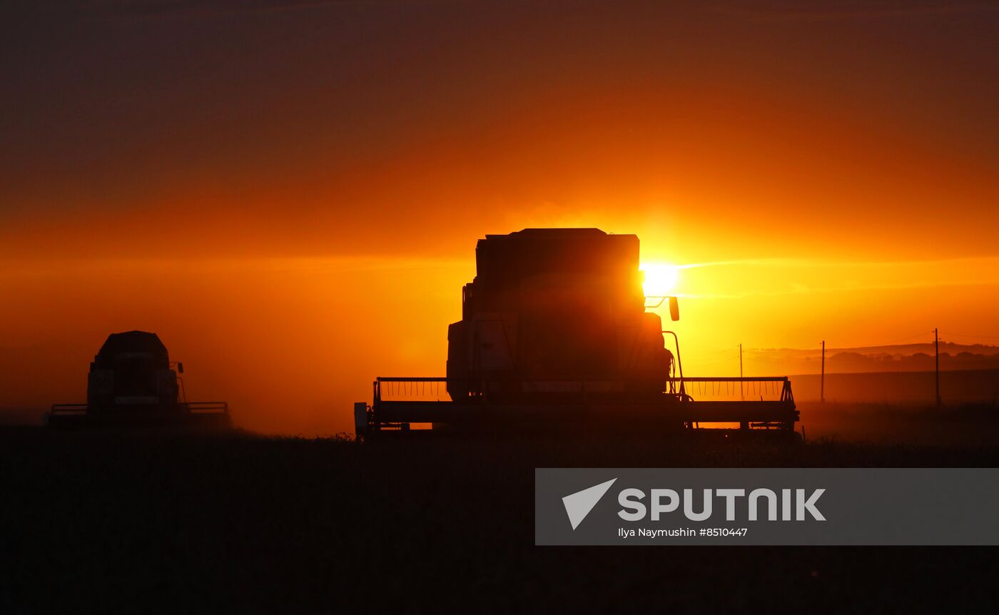 Russia Agriculture Wheat Harvesting