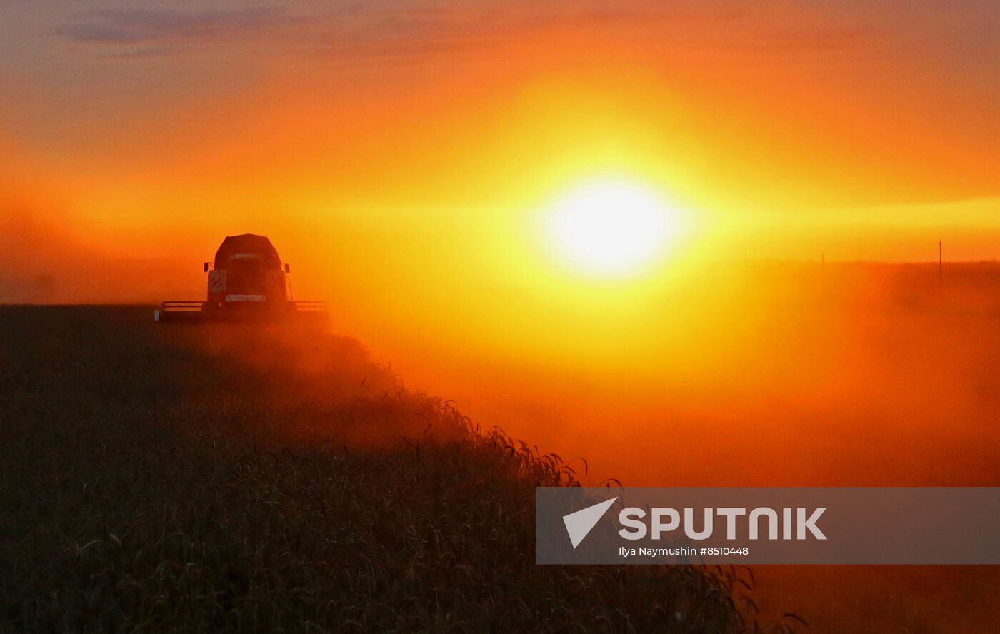 Russia Agriculture Wheat Harvesting