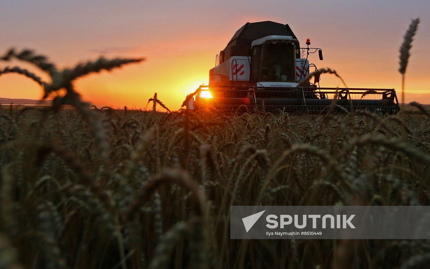 Russia Agriculture Wheat Harvesting