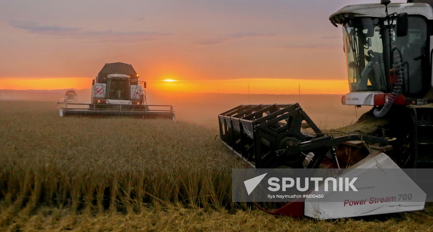 Russia Agriculture Wheat Harvesting