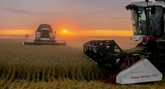 Russia Agriculture Wheat Harvesting