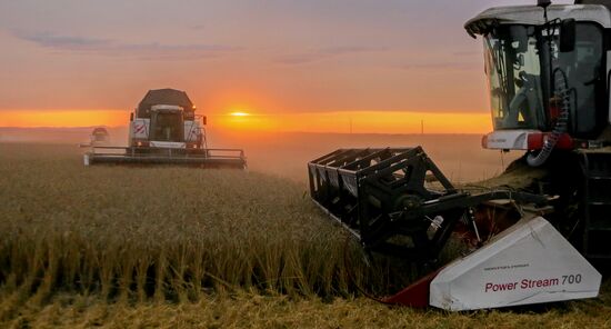 Russia Agriculture Wheat Harvesting