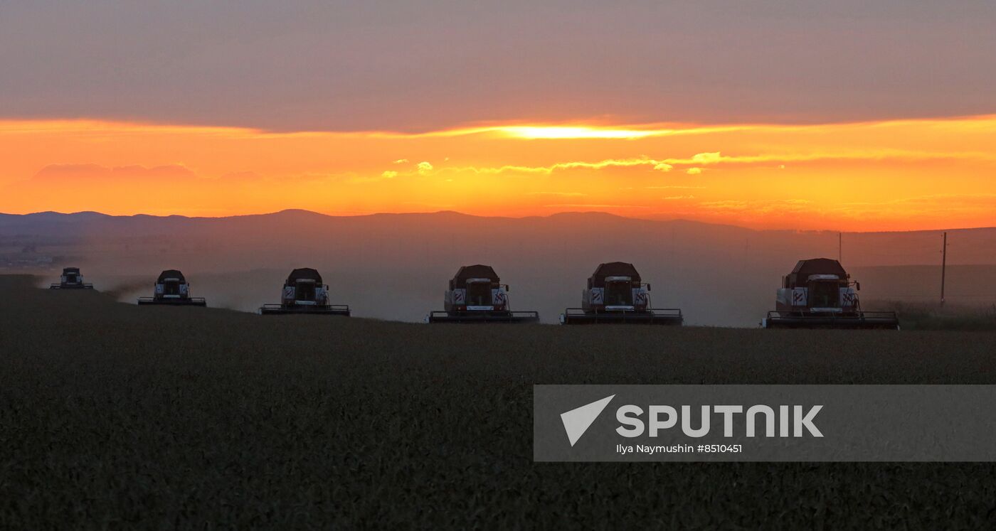 Russia Agriculture Wheat Harvesting