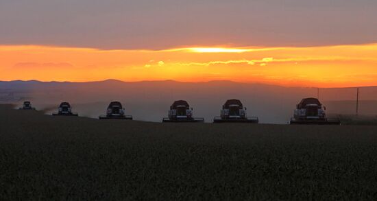 Russia Agriculture Wheat Harvesting