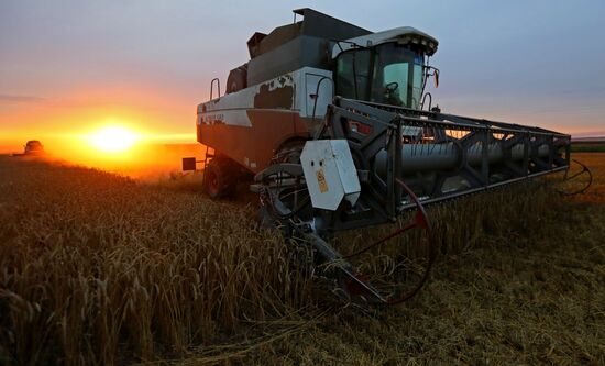 Russia Agriculture Wheat Harvesting