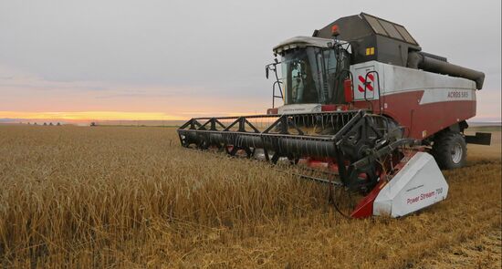 Russia Agriculture Wheat Harvesting