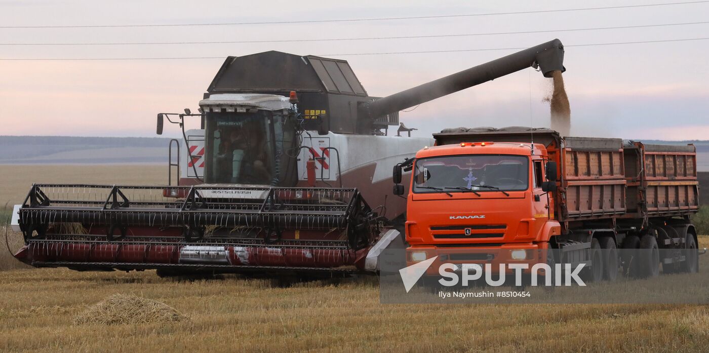 Russia Agriculture Wheat Harvesting